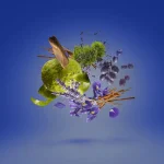 زرجوف مفیستو - Casamorati Xerjoff Mefisto