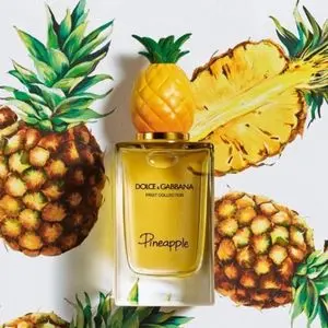 دولچه گابانا پاین اپل - DOLCE & GABBANA Pineapple